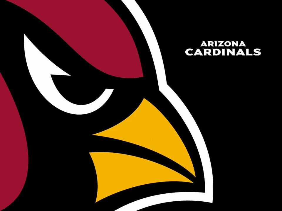 ARIZONA Cardinals FB cards: AUTO, JERSEY, RCs - YOU CHOOSE! . 10+ FREE S/H - Image 1 of 1