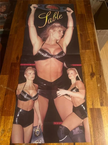 Diva SABLE & NITRO GIRLS female wrestling WWE/WWF sexy poster Cover