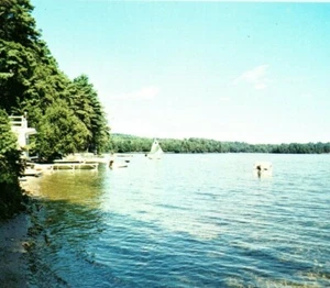 Great East Lake Maine Shore Dock Boats Sail Rowing Vintage Postcard - Picture 1 of 4