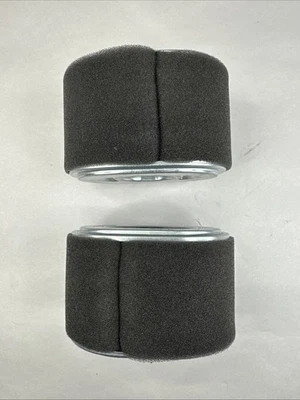 NEW OEM Honda GX120 GX160 GX200 Air Filter 17210-Z4M-821 Genuine — 2 PACK - Image 1 of 3