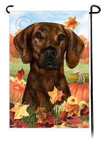 Falling Leaves Garden Flag - Brindle Plott Hound - Picture 1 of 1