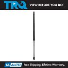 TRQ Left Right Liftgate Lift Support Fits 2020-2022 Ford Escape