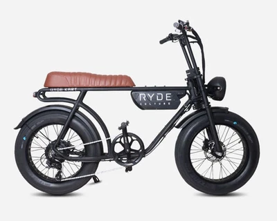 E-Bike Ryde Culture Classic 250W 14.5Ah special Fahrrad Elttrica custom - Bild 1 von 2