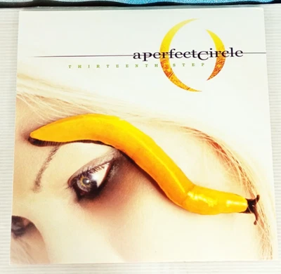 A Perfect Circle Thirteenth Step 2xLP Black Vinyl Album Reissue Tool NM 2019 - Image 1 of 4