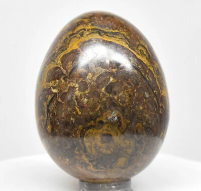 52mm 120g Stromatolite Egg Polished Algae Fossil Gemstone Crystal Mineral - Peru - Image 1 of 4