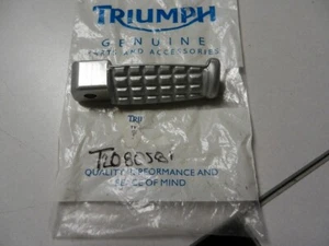 NOS Triumph LH Rear Footrest 2000-2003 TT600 1999-2004 Sprint T2080581 - Picture 1 of 9