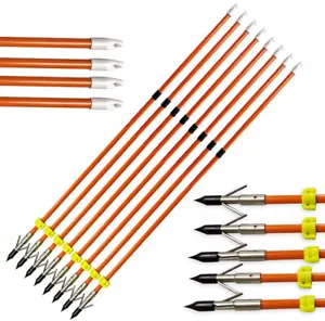 30" Bowfishing Arrows Solid Fiberglass Arrowheads Archery Bow Fishing Hunting - Picture 1 of 12