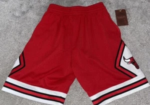 Chicago Bulls Shorts - Picture 1 of 2