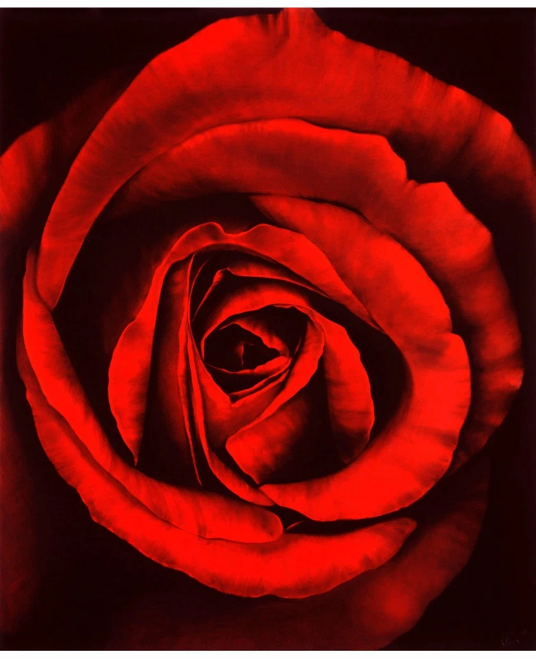 ROBERT LONGO ART - "SIN TÍTULO" DE "OPHELIA" (ROSA 1) Foto 1 de 1