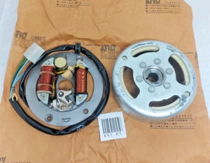 Yamaha RX100 Ajuste para DT100 1974-78 DT125 Estator Generador Alternador Flywhell Nuevo - Imagen 1 de 7