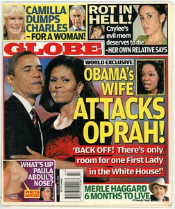 GLOBE TABLOID MAGAZINE NOV 24, 2008 ~ CASEY ANTHONY, OBAMA, CAMILLA, PAULA ABDUL - Picture 1 of 1