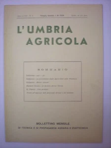 (AGRICOLTURA-ALLEVAMENTO-BESTIAME) UMBRIA AGRICOLA 1940 - Imagen 1 de 1