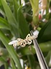 14K Tri-Color Gold Diamond Cut Butterfly Ring