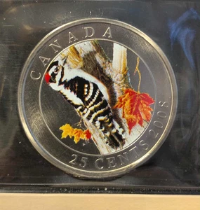 2008 Canada, Downy Woodpecker Coloured ¢25 ICCS Graded **SP-66** # QD 422 - Bild 1 von 5