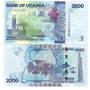 Uganda - 2000 Shillings 2024 UNC P. 50e Lemberg-Zp - Picture 1 of 1