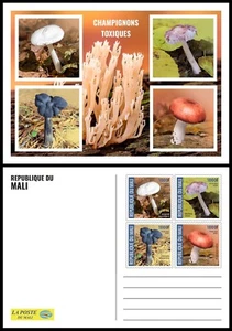 MALI 2024 STATIONERY CARD - POISONOUS MUSHROOMS MUSHROOM CHAMPIGNONS PILZE FUNGI - Picture 1 of 1