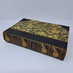 Messages And Papers Of The Presidents Antique Book Volume IX (1889-1897) 1905 - Picture 1 of 18