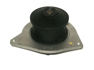 Puertas de bomba de agua Eagle Vision 1995-1997 79395YKZD 1996 3,5 L V6 gas Foto 1 de 2