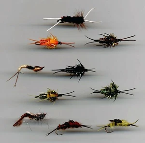 Forellenfliegen: Steinfliege. Crawling & Living Nymphen x 10 alle Größen 10 (Code 005) - Bild 1 von 3