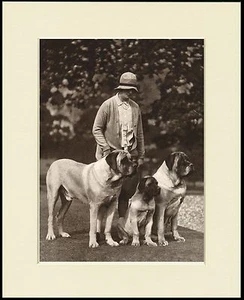 MASTIFF LADY AND HER DOGS GREAT DOG PHOTO PRINT MOUNTED READY TO FRAME - Picture 1 of 1