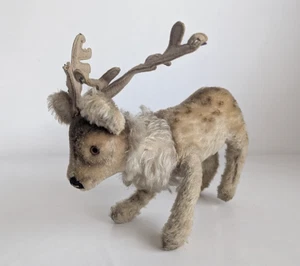 Vintage 50er Jahre Steiff Renny Rentier Mohair Spielzeug Glasaugen deutsch 14 cm ohne Knopf - Bild 1 von 10