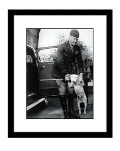 George S. Patton 8x10 photo print with his dog Willie general WWII - Picture 1 of 2