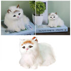 Mini Cat Figurines Ornaments Animal Figurines Collection Toy Home Office