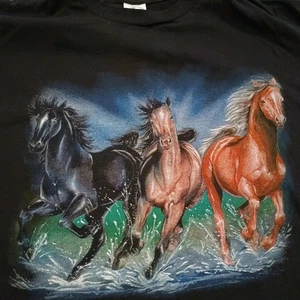 ๐ฅ T-shirt vintage Sunrise Sportswear cavalli selvaggi taglia large anni 80 usata in ottime condizioni - Foto 1 di 7