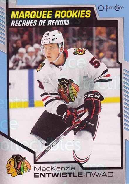 2020-21 O-Pee-Chee Blue #646 MacKenzie Entwistle - Image 1 of 1