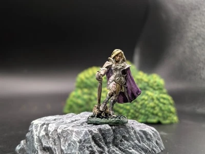 Miniatura Pro Pintada Reaper "Marissa" Paladín DND Fantasy Frostgrave Foto 1 de 3