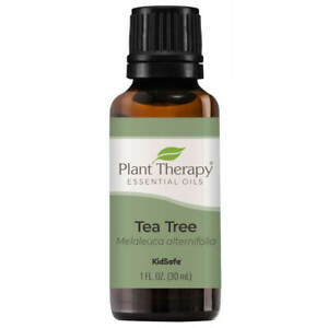 Plant Therapy Essential Oils Tea Tree 100% Pure, Undiluted, Natural Aromatherapy