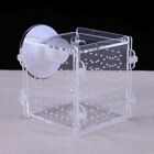 Betta Fish Tank Box with Suction Cups