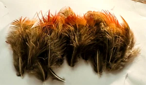 fire tip feathers x 20 Wedding Party Gorgeous hat making fly tying medium - Picture 1 of 3