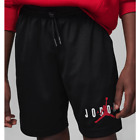 Air Jordan Essentials Graphic Mesh Shorts Big Kids Shorts Size Xl 95C186023