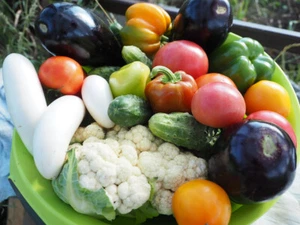 AUTUMN & WINTER VEGETABLE SEEDS PACK-10 PACKETS-GROW YOUR OWN VEGETABLE GARDEN - Picture 1 of 17