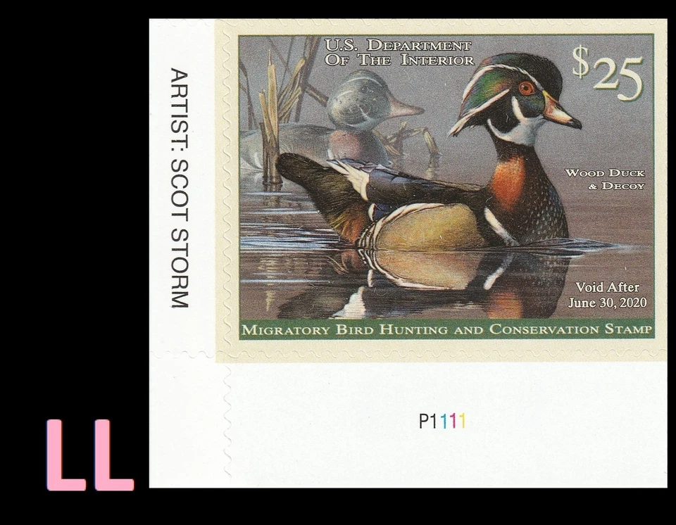 US RW86 Wood Duck $25 plate single LL MNH 2019-2020-st - Image 1 of 1