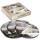 4 x Boxed Round Coasters - White Pretty Short Tailed Weasel  #16302