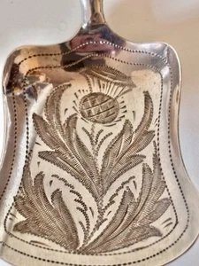 Antique Victorian Silver Caddy Spoon Hilliard & Thomason 1856 Scottish Thistle - Picture 1 of 9