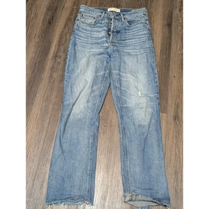 Denim Forum Arlo High Rise Straight Leg Jeans Size 28 Button Fly Frayed Hem - Picture 1 of 8