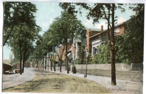 Postal Eckernförde, vista callejera Vogelsang 1903 - Imagen 1 de 2