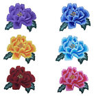 Rose Flower Embroidered Applique Badge Collar Sew On Iron On Patch Craft Clothes