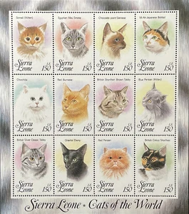 SIERRA LEONE CATS OF THE WORLD STAMPS 1993 MNH SIAMESE TABBY PERSIAN CALICO PET - Picture 1 of 1
