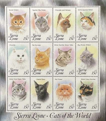 SIERRA LEONE CATS OF THE WORLD STAMPS 1993 MNH SIAMESE TABBY PERSIAN CALICO PET Cover
