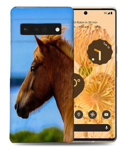 CASE COVER FOR GOOGLE PIXEL|BEAUTIFUL BROWN HORSE HEAD - Picture 1 of 11