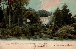 POSTCARD WILD GARDEN AGRICULTURAL COLLEGE LANSING MICHIGAN - 1906 - Picture 1 of 2