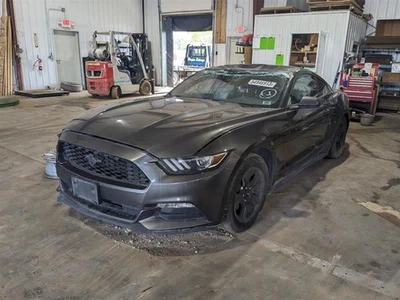 Seat Belt Front Bucket Driver Buckle Fits 15-17 MUSTANG 922355 Foto 1 de 4