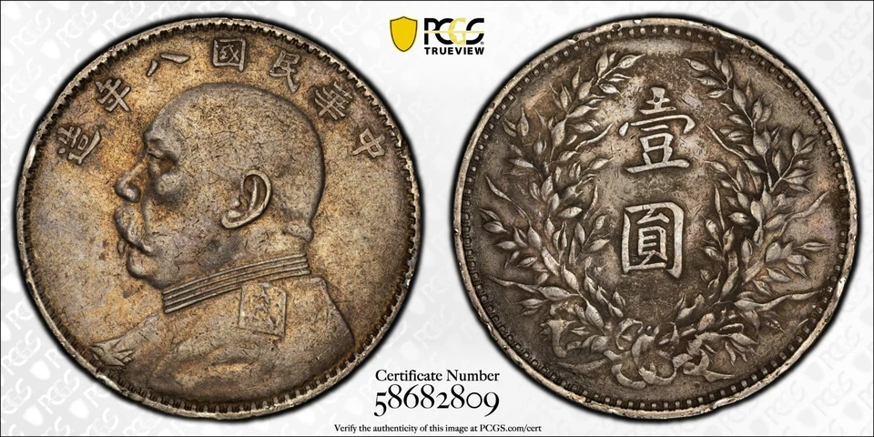 China 1919 $1 graduación profesional XF daños ambientales LM-76 Foto 1 de 1