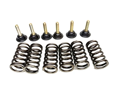 Husqvarna TE250 TE 250 2005 05 motor embrague cesta resortes pernos arandela Foto 1 de 2