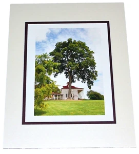"Mt. Vernon" by American Artist LENG 1/1 Signed Photograph Proof 11x14 - Picture 1 of 1