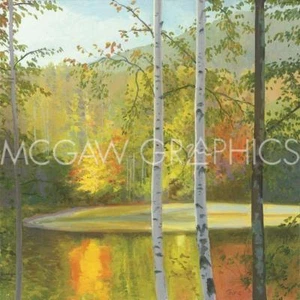 Cooper Lake, Autumn Elissa Gore Art Print 20x20 - Foto 1 di 1